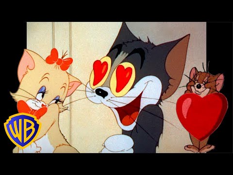 Tom & Jerry - hadanie lsky