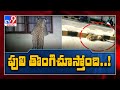 Leopard again caught on CCTV camera in Hyderabad