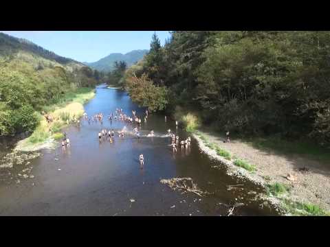 Race Video