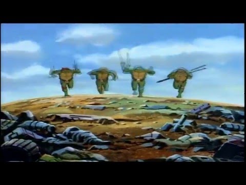 Teenage Mutant Ninja Turtles'