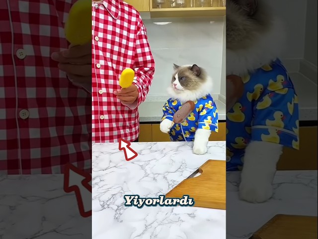 Bu kız çikolatalı dondurma istiyor