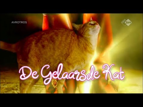 De gelaarsde kat'