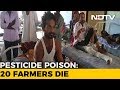 20 Farmers Die Of Insecticide Poisoning In Maharashtra, Many Lose Vision