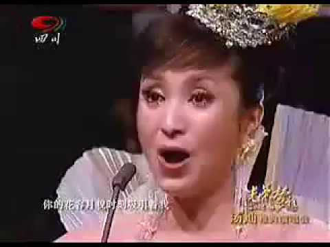 光荣与梦想 2008汤灿雅典演唱会