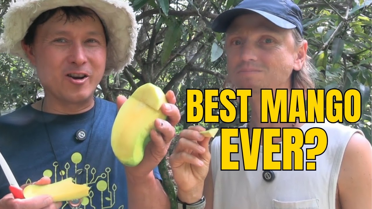 I Tasted Mangoes From Trees You Can Order - These Are the Best.