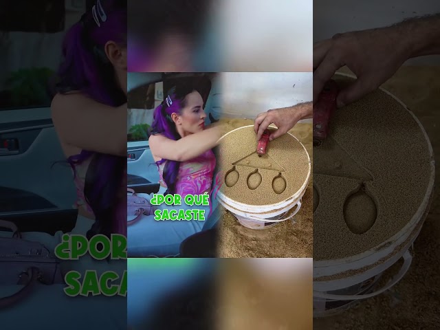 ¿Eres del team de las TÓXICAS