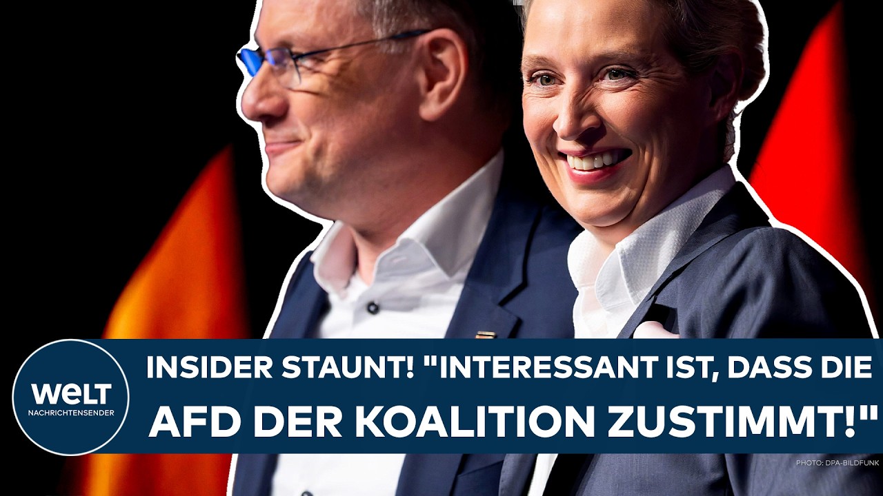 DEUTSCHLAND: Insider staunt! "Interessant ist, dass die AfD der Koalition zustimmt!"