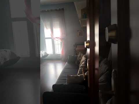 Video realizado por la propiedad