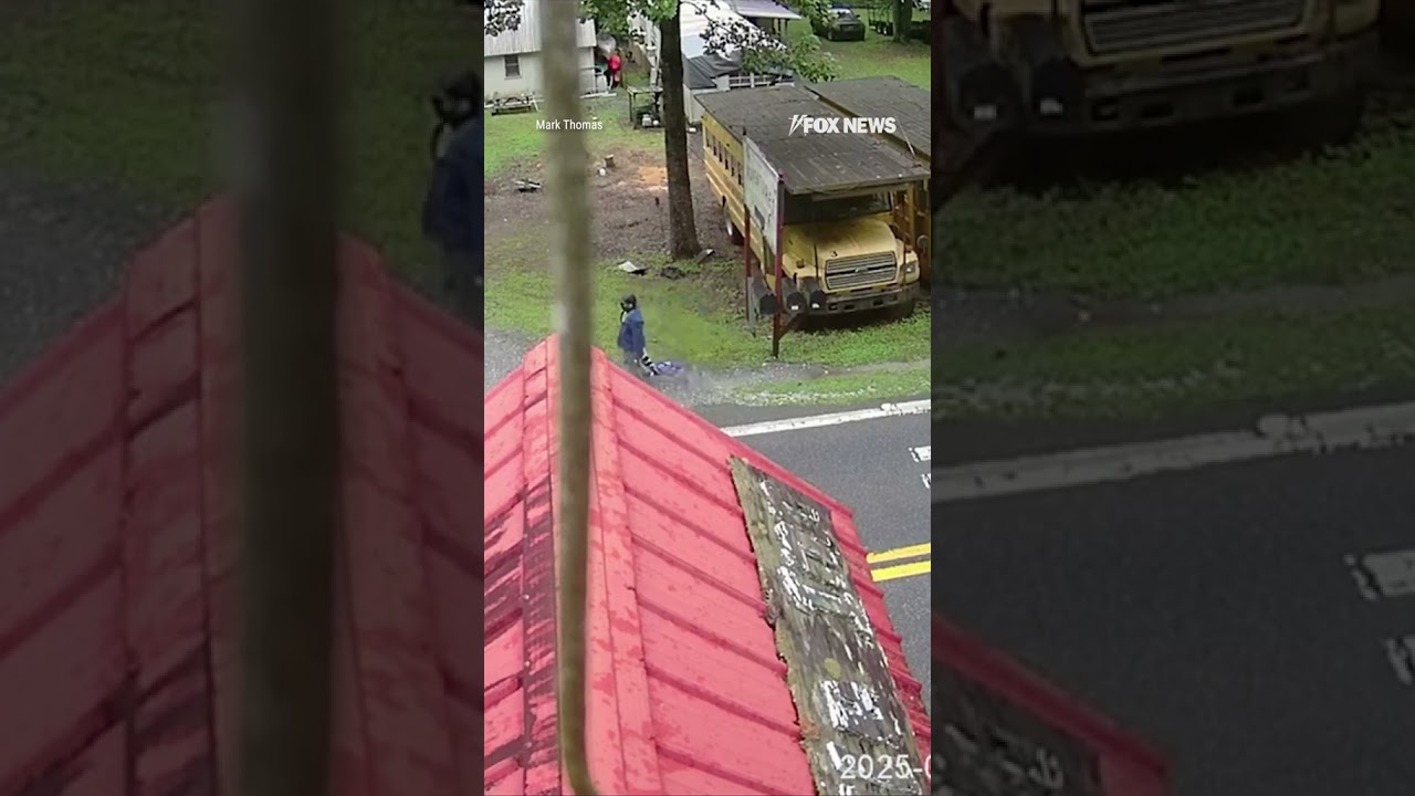 ROAD RAGE: Man arrested for allegedly tearing down a Trump 2024 banner and then opening fire #shorts