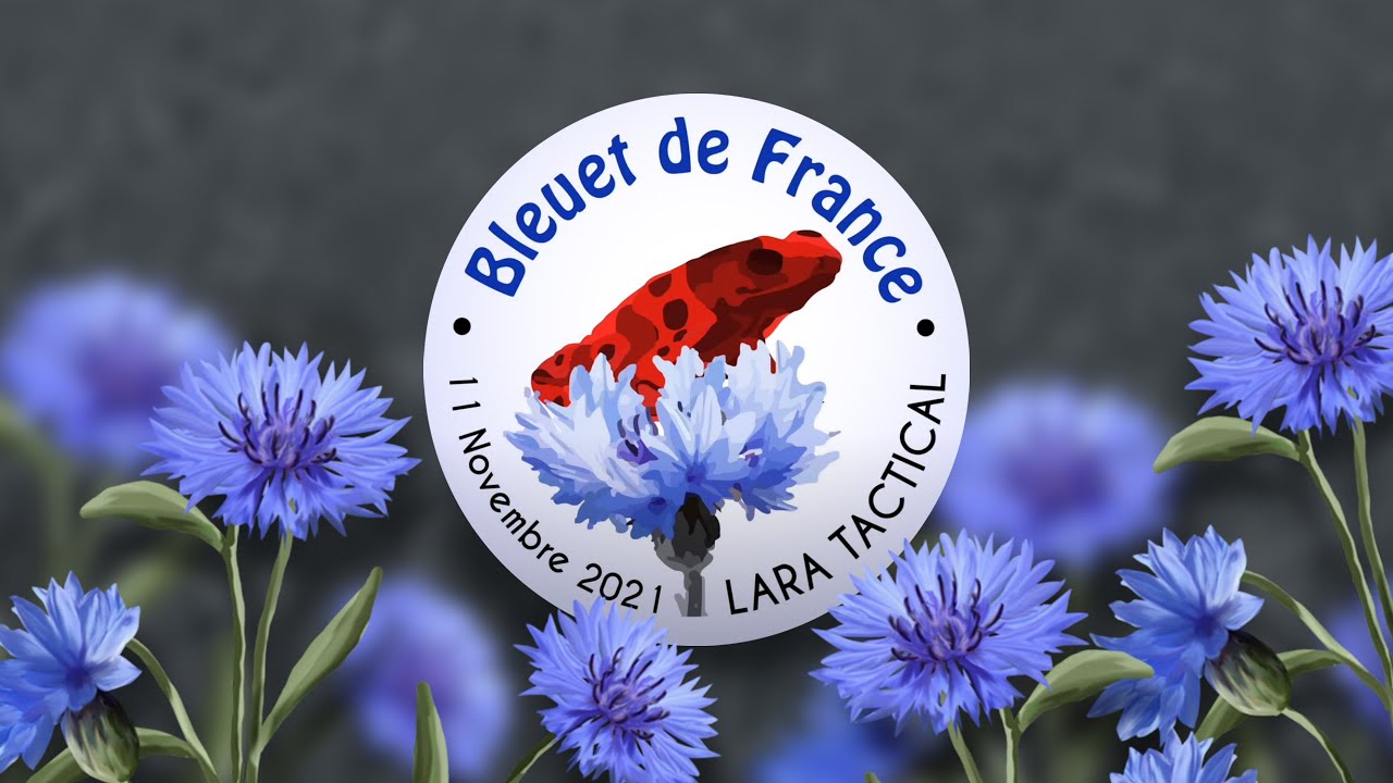 11 Novembre : On a besoin de vous !