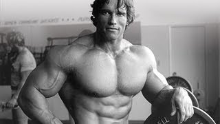 All comments on Arnold Schwarzenegger - Trainingsplan nach Vince ...