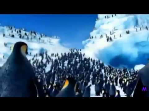 Happy Birthday The Penguin Song - YouTube