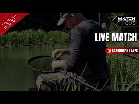 Andy Bennett Live Match | Barnburgh Lakes | Shallow Fishing | Big weight |