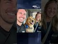 Army veteran travels the world with therapy dogs