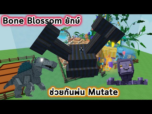 ผล Bone Blossom ที่ใหญ่ที่สุดติด Mutate จาก Spino และเจ้าหมึก Mimic Roblox Grow a Garden