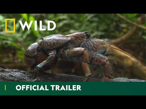 Equator's Wild Secrets'