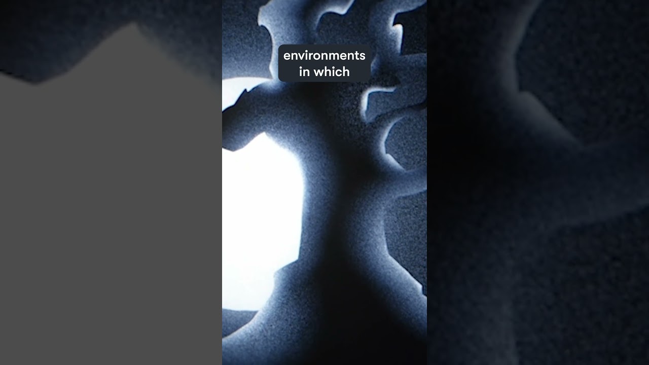 The Dangers of Missing a Sense of Self