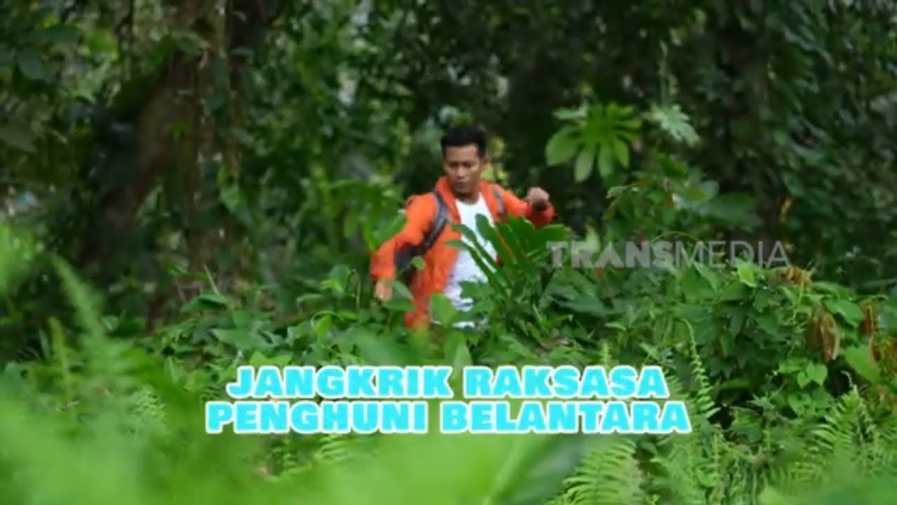 Jangkrik Raksasa Penghuni Belantara | SI OTAN (14/11/24)