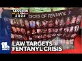 Victoria and Scotties Law would punish fentanyl dealers