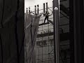 Trumps name seen being removed from Kennedy Center