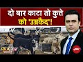 Stray Dogs: दो बार काटने पर कुत्ते को उम्रकैद! Bharat Ki Baat Batata Hoon | Syed Suhail | UP News