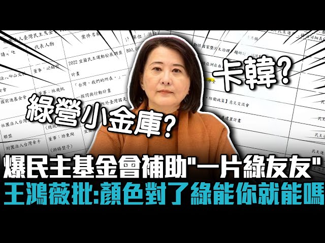 【有影】台灣民主基金會3月改組 王鴻薇控成「綠友友」小金庫