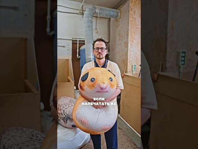 ГИГАНТСКИЕ ИГРУШКИ