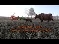 Autumn Oaks: DFMEP The Crop Update v1.0.3.0