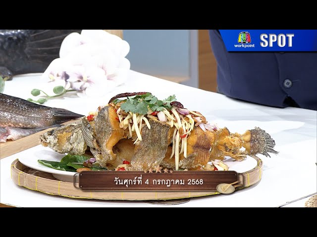 ปัญญา 5 ดาว | EP.200 | 4 ก.ค. 68 | SPOT