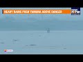 Delhi Alert: Yamuna Above Danger Level, Loha Pul Traffic Stopped | News9 - 02:05 min - News - Video