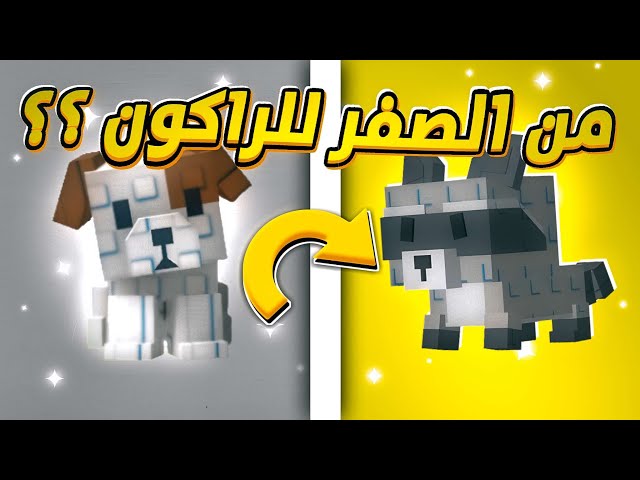 حاولت اجيب راكون من الصفر 🤑  نصبو علي 😭#1 / grow a garden