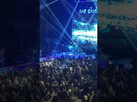 Bonez Mc raf & camora - Ruhe nach dem Sturm pap2 Palmen aus Plastik 2 tour münchen 187 olympiahalle