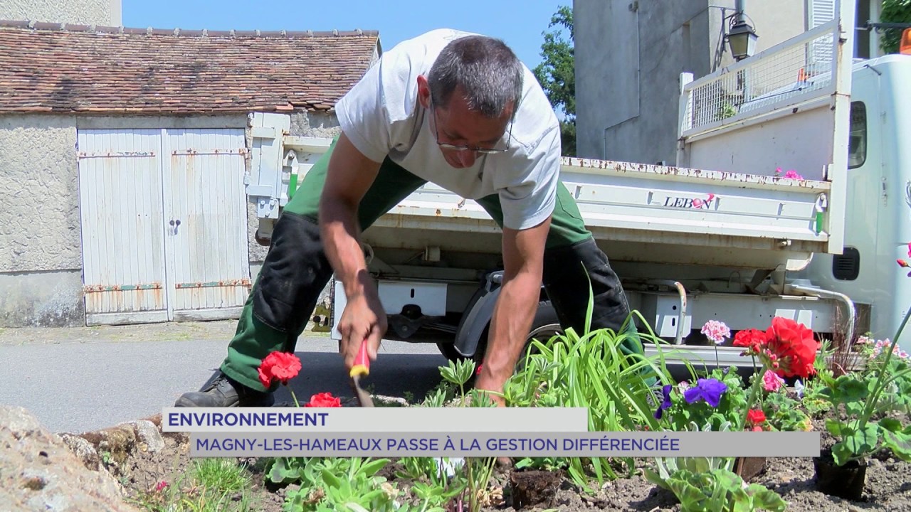 Environnement : Magny-Les-Hammeaux passe à la gestion différenciée