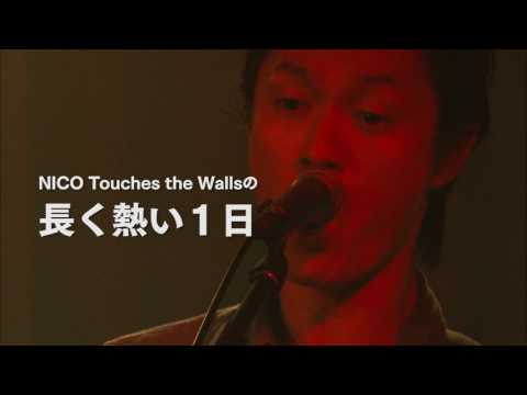 NICO Touches the Walls LIVE SPECIAL 2016