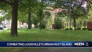 Louisville working to combat 'urban heat island' effect by planting more trees