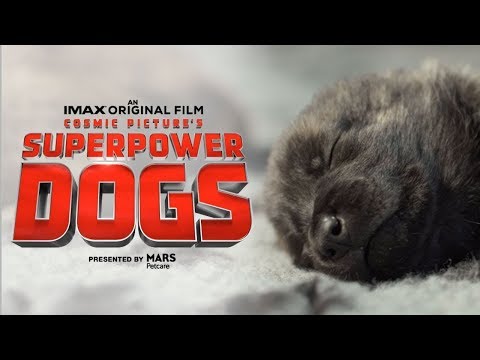 Superpower Dogs'