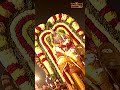 గజ, సింహ వాహనాలపై భక్తులను అనుగ్రహించేందుకు మీ చెంతకు విచ్చేసిన శ్రీకాళహస్తి ఆదిదంపతులు #bhakthitv  - 00:45 min - News - Video