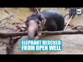 Viral Video: Locals, forest officials rescue elephant stuck in a well