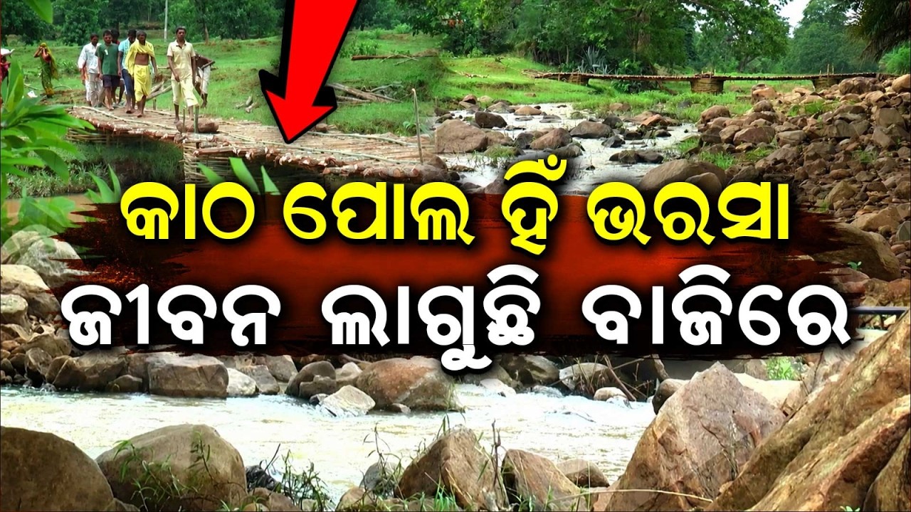 କାଠ ପୋଲ ହିଁ ଭରସା | Kandhamal: No Bridge Over Gatabali River, 4 Villages Cut Off In Rain | Argus News