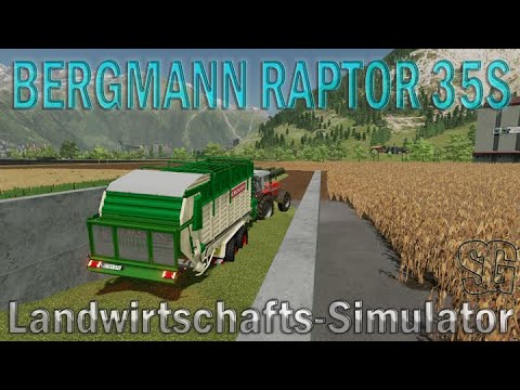 Bergmann Raptor 35S Final v1.0.0.2