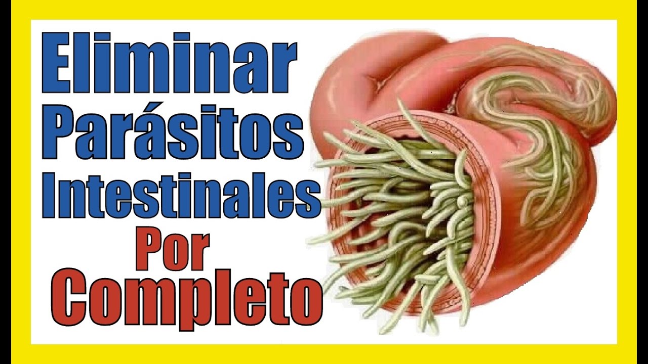 Remedios caseros para lombrices en el ano