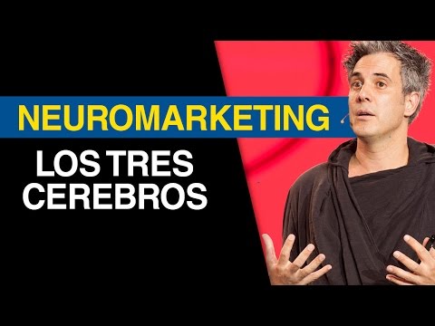 jurgen klaric bye bye mente mediocre neuromarketing el principio de los tres cerebros j 252 rgen jurgen klaric bye bye mente mediocre neuromarketing el principio de los tres cerebros j 252 rgen