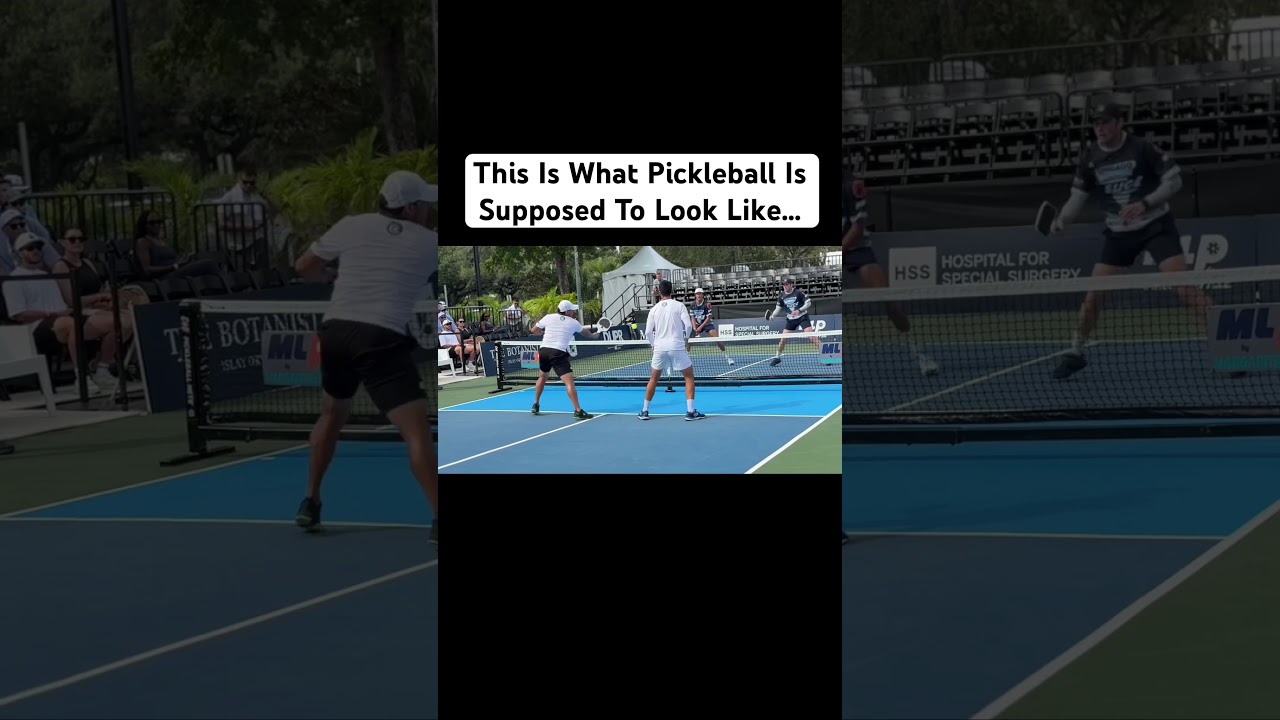 This Is What Pickleball Is Supposed To Look Like! #pickleball #fyp #viral #reels