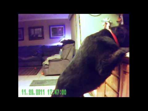 Quincy Trouble.avi