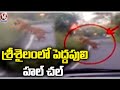 Tiger spotted on Srisailam ghat road, video goes viral
