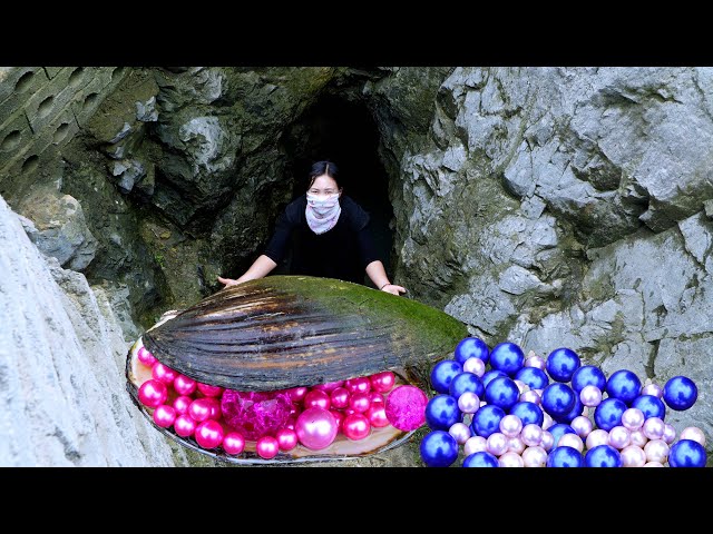 🎁😱Giant clams that have grown in caves for decades, nurturing the most precious and beautiful pearls
