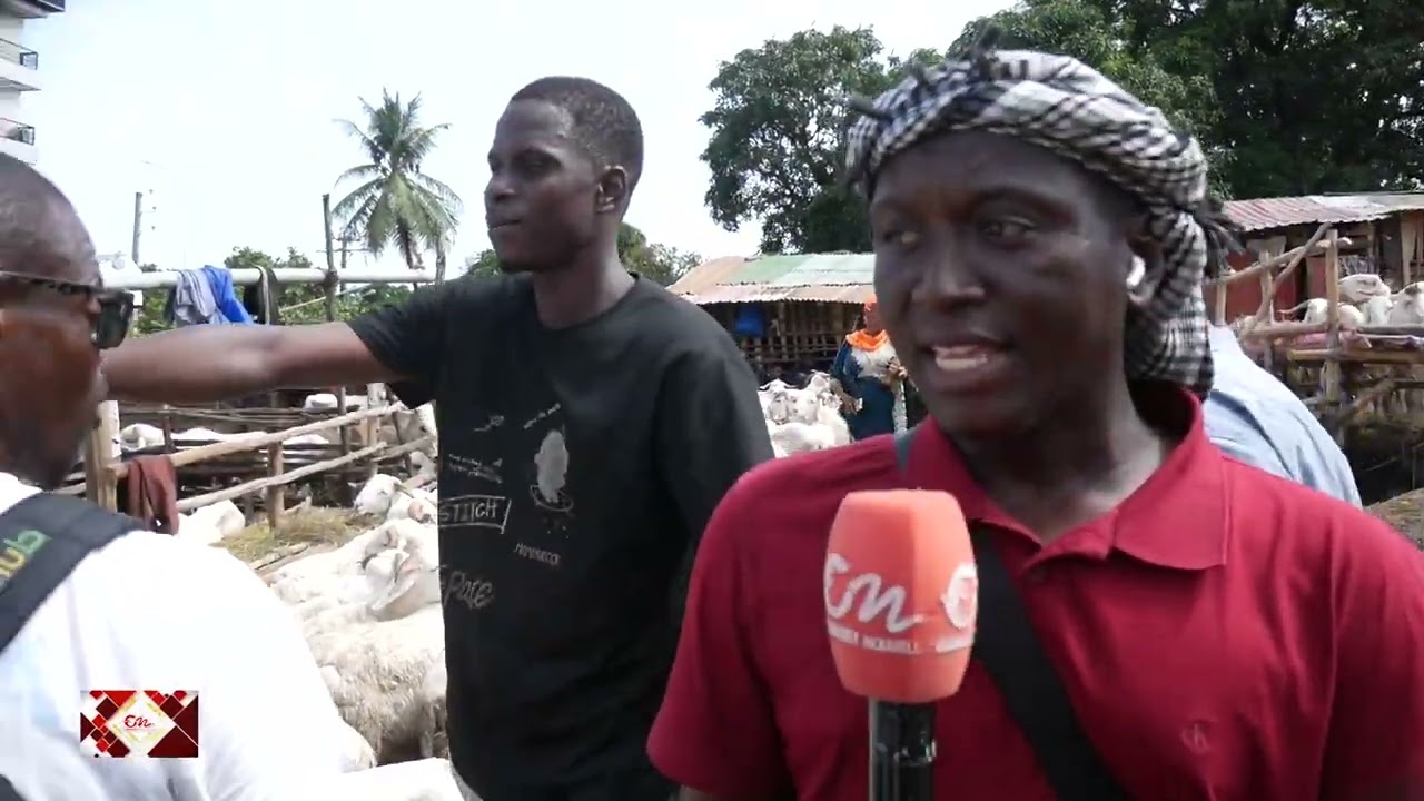 Conakry Nouvelles MOUTON 2025