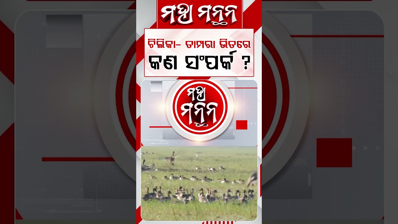 ଚିଲିକା-ତାମ୍ପରା ଭିତରେ କଣ ସଂପର୍କ ? | Maha Manthana | Argus Reels | Chilika Lake | Tampara Lake