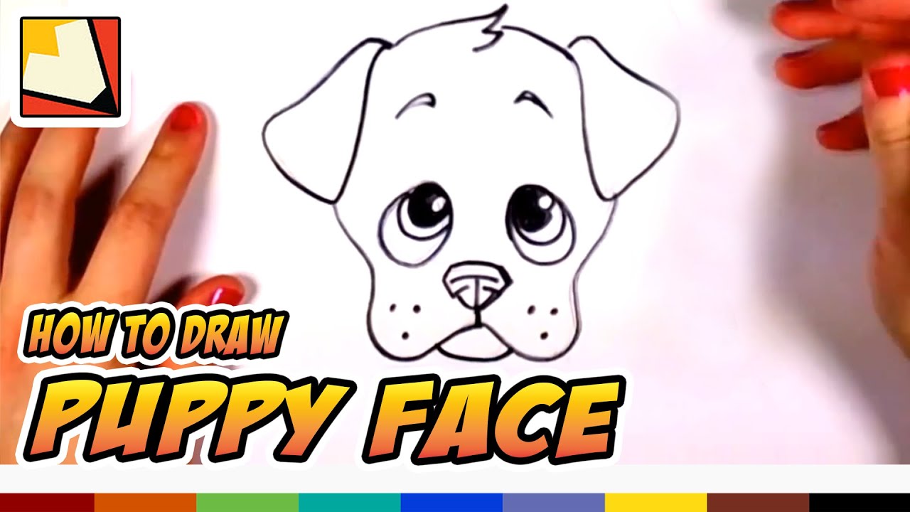 How to Draw a Cute Puppy Face Step by Step CC YouTube
