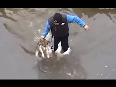 Drowning puppy shows pure joy after rescue